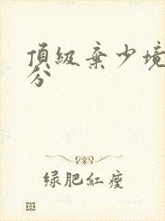 顶级弃少境界划分