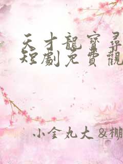 天才龙宝寻亲记短剧免费观看完整版