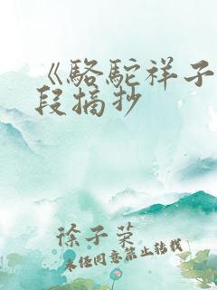 《骆驼祥子》文段摘抄