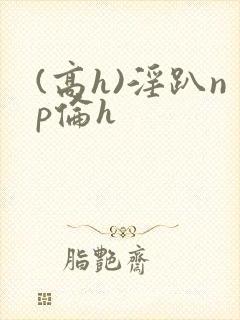 (高h)淫趴np伦h