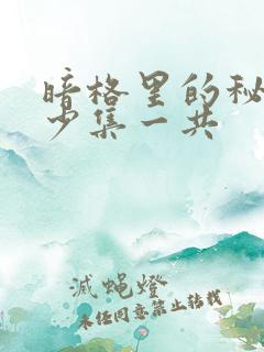暗格里的秘密多少集一共