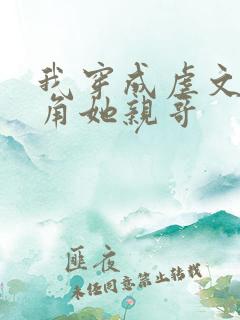 我穿成虐文女主角她亲哥