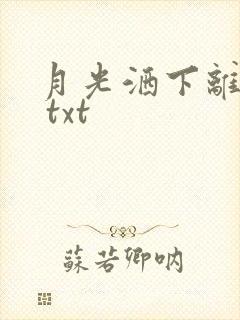 月光洒下离人巷 txt