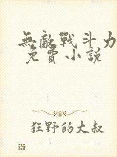 无敌战斗力系统 免费小说