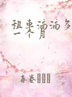 租车滴滴多少钱一个月