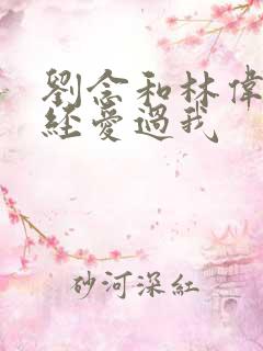 刘念和林伟 曾经爱过我