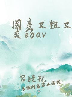 国产又粗又长又爽的av