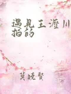遇见王沥川哪年拍的