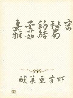 妻子的秘密 林雅茹结局