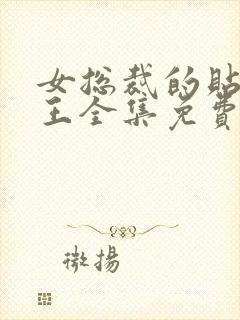 女总裁的贴身兵王全集免费版阅读