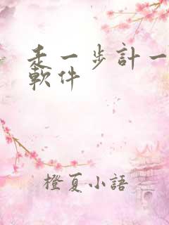走一步计一步的软件