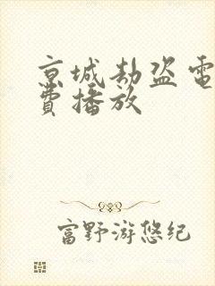 京城劫盗电影免费播放