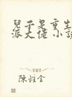 儿子是重生的反派大佬 小说