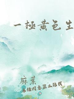 一极黄色生活片