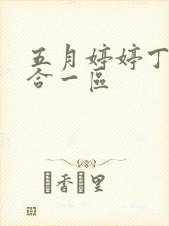 五月婷婷丁香综合一区