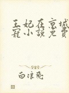 王妃在京城当团宠小说免费阅读