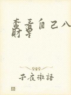 查看自己八字的财星