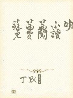 苏茜茜小明全文免费阅读