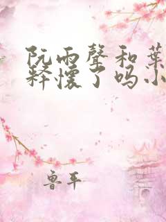 阮雨声和叶潇都释怀了吗小说