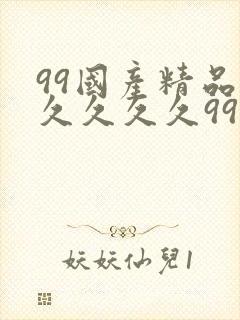 99国产精品久久久久久99