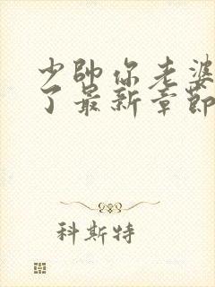 少帅你老婆又跑了最新章节列表