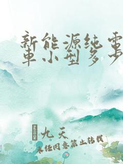 新能源纯电动汽车小型多少钱