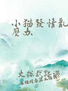 小猫发情乱尿怎么办