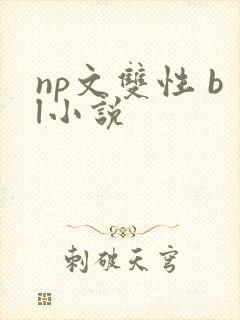 np文双性 bl小说