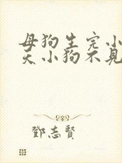 母狗生完小狗二天小狗不见了怎么办