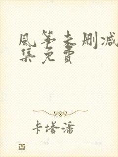 风筝未删减版全集免费