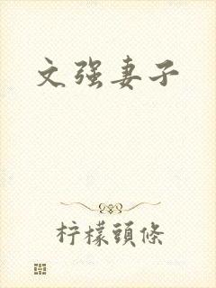 文强妻子
