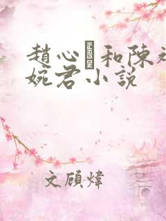 赵心睸和陈斌高婉君小说