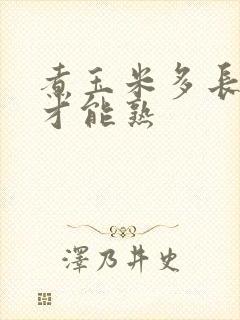煮玉米多长时间才能熟