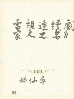 电视连续剧《以家人之名》