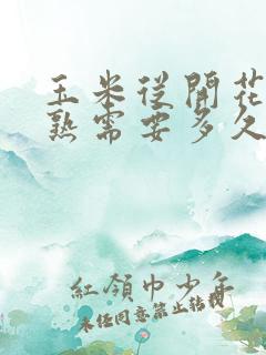 玉米从开花到成熟需要多久