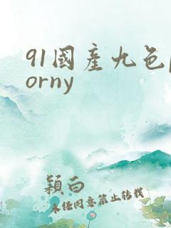 91国产九色porny