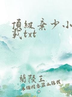 顶级弃少小说下载txt