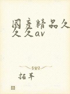 国产精品久久久久久av