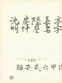 沈戾陆长亭小说叫什么名字