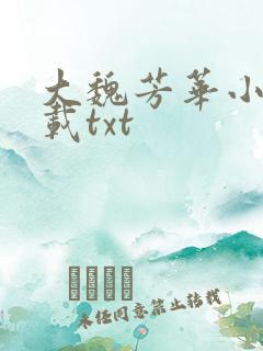 大魏芳华小说下载txt
