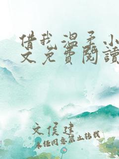 借我温柔小说全文免费阅读 借我温柔小说全文免费阅读