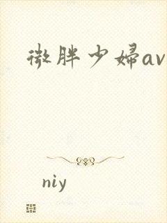 微胖少妇av