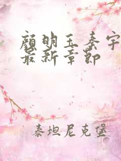 颜明玉秦宇小说最新章节