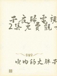 子夜归电视剧12集免费观看