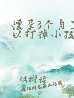 怀孕3个月了可以打掉小孩吗
