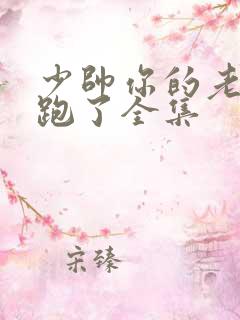 少帅你的老婆又跑了全集