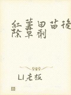 红薯田苗后专用除草剂