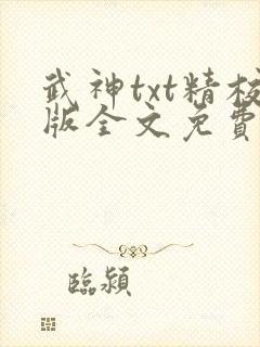 武神txt精校版全文免费下载