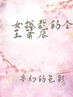 女总裁的全能兵王萧辰