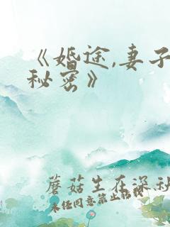 《婚途,妻子的秘密》